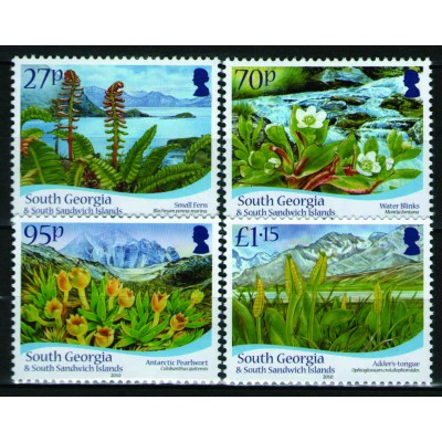 Flora Flores Salvajes